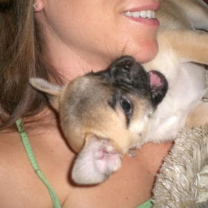 Meet your Posher, Hensley